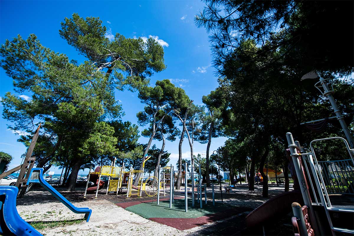 PINETA SAVINI ver 1 1