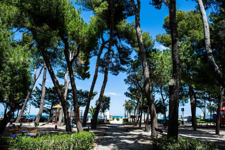 PINETA SAVINI ver 2 768x512