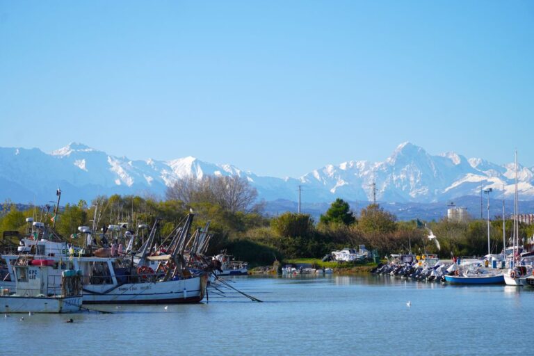 porto rose roseto2 1 768x512