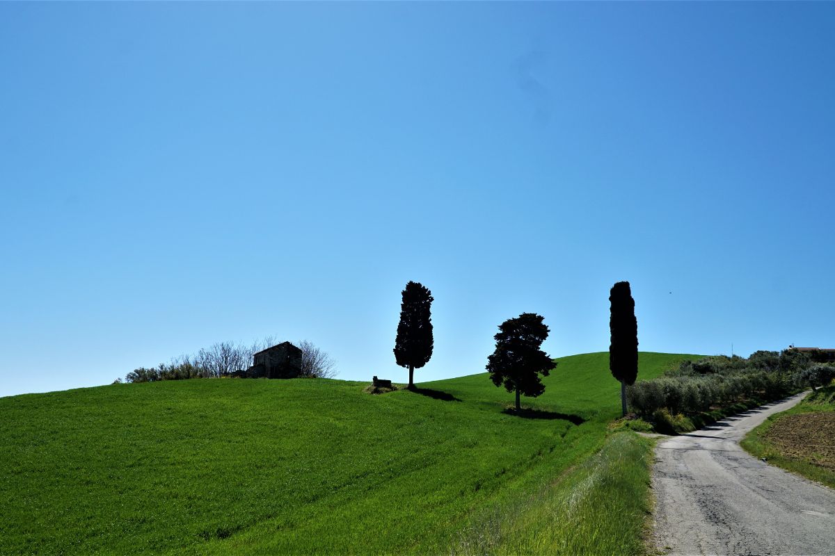 riserva borsacchio roseto 2 2