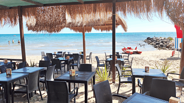 IMG 20240612 101527c 768x432